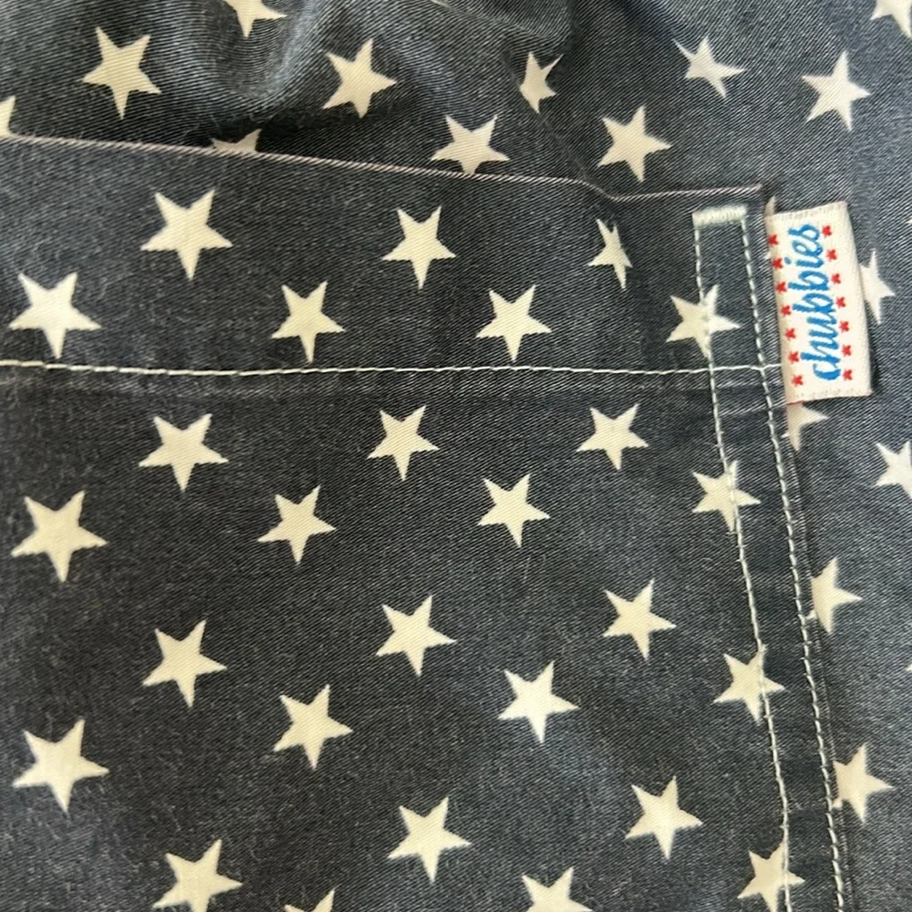 Chubbies The Mericas Swim Trunks sz L - Picture 6 of 8